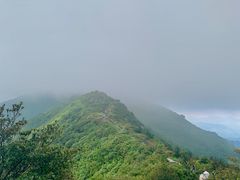 -大围山国家森林公园