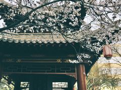 -碑林公园