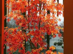 -和枫(众意路店)