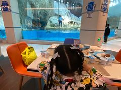 -帝企鹅自助餐厅•儿童岛•真企鹅(长隆企鹅酒店)