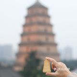 陕拾叁新品浪浪西安饼干 地标同款来西安必带
