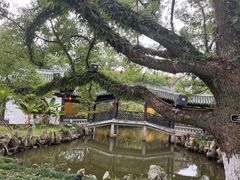 -江心屿景区