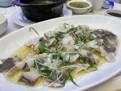 葱油鲈鱼片-金华安大酒楼·老牌潮菜·粤式茶点(东方国际店)
