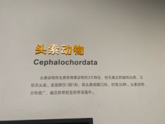 -四川大学博物馆