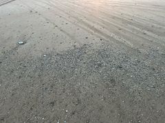 -渔寮风景区