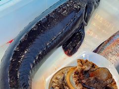 -江湖水乡铁锅炖魚(周庄嘉园店)