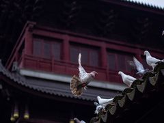 -重元寺