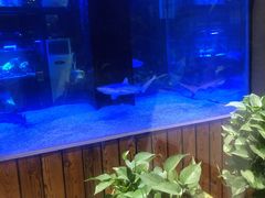 -暹罗酒肆泰餐厅酒吧