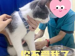 -芭比堂动物医院广州顽皮分院