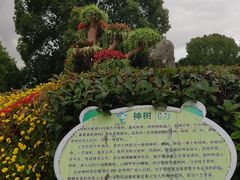 -七宝老街-闵行市民文化广场