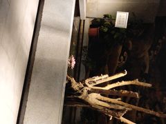 -大渔之观(安贞店)