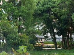 -野蔓果·山野菜(西湖景区·龙井茶田店)