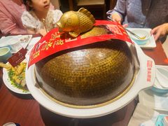 -魏铭鱼头捞饭(晋阳路店)