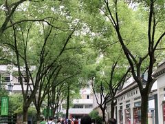 -杭州学军中学(西溪校区)