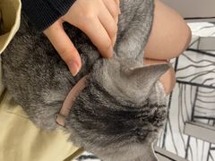 -白夜2D咖啡馆