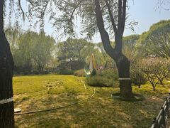 -三忘湖 SWANSEEN(柳荫公园店)