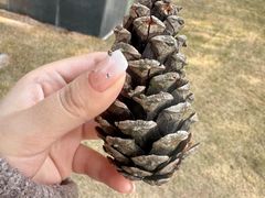 -同济大学(嘉定校区)