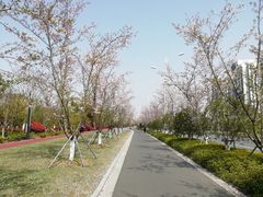 -苏州太湖湖滨国家湿地公园