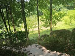 -龙头寺公园