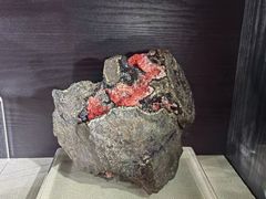 -中国地质博物馆