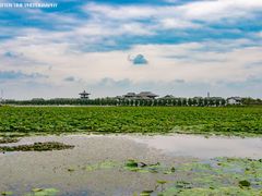 -呼兰河口湿地公园