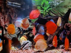 -上海海洋水族馆