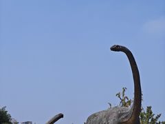 -安徽省地质博物馆