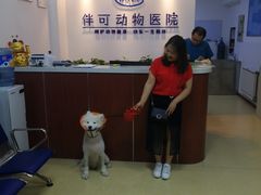 -美联众合动物医院·伴可分院·内科中心医院