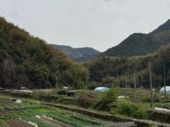 -会稽山峡洞漂流-上青古道