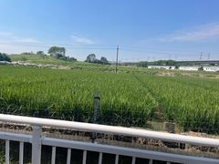 -光明小镇欢乐田园