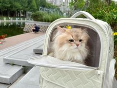 -上海无线电博物馆