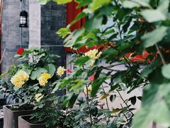 -北京古城老院厉晓麟精致菜