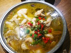 -鸡毛店·川菜(双楠店)