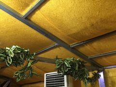-吴记百姓菜馆·北京菜·烤鸭(故宫店)