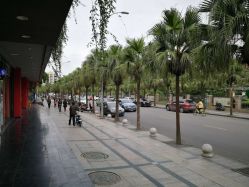 -MS.SALON美发沙龙