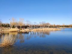 -永定河休闲森林公园