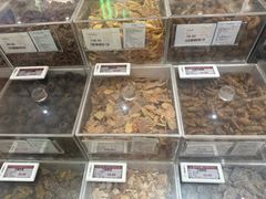 -上海市长春食品商店(淮海中路店)