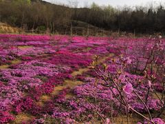 -雪山彩虹谷景区