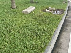 -霞山观海长廊