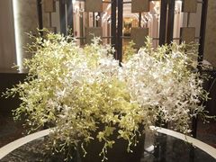 -玉满堂·湖北融合菜