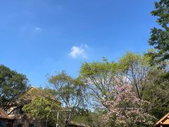-番禺大夫山森林公园