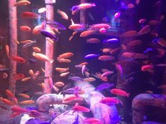 -沈阳海洋探索中心