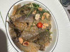 -滋粥楼·顺德菜(番禺广场总店)