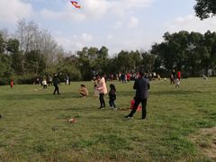 -蜀冈西峰生态公园