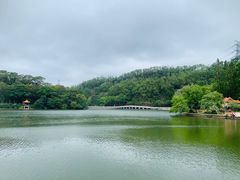 -深圳仙湖植物园