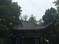 -汇龙潭