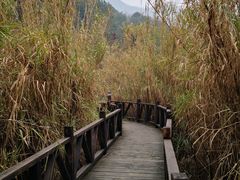 -东海大峡谷