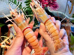 -黑木原精致料理·铁板烧