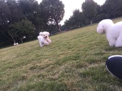 -杭州城北体育公园