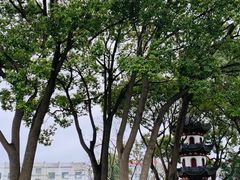 -川沙古镇-停车场